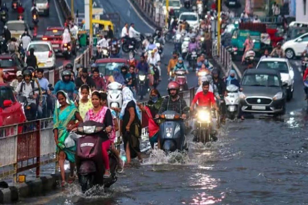 Bengaluru Increase in dengue cases, total 1,649 cases reported in a