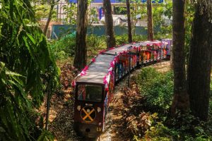 Cubbon Park Bangalore 