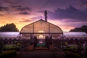 Lalbagh Botanical Garden Bangalore Timings