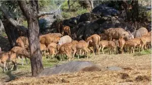 Best Places To Visit In Bangalore In One Day 2024