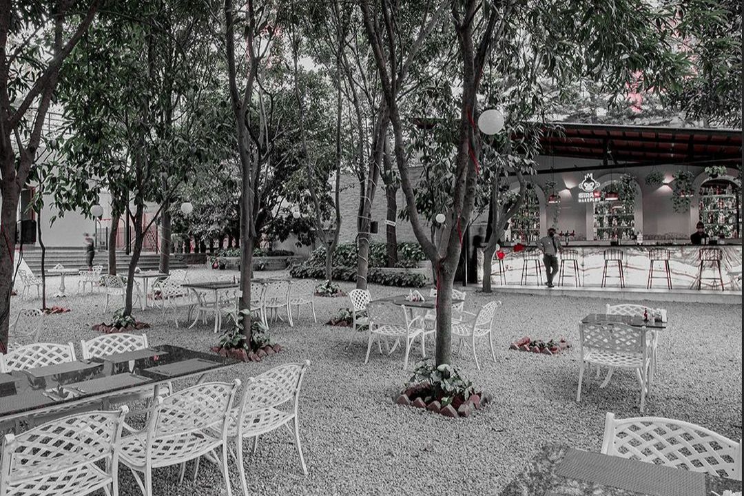 Best ambience restaurants in bangalore