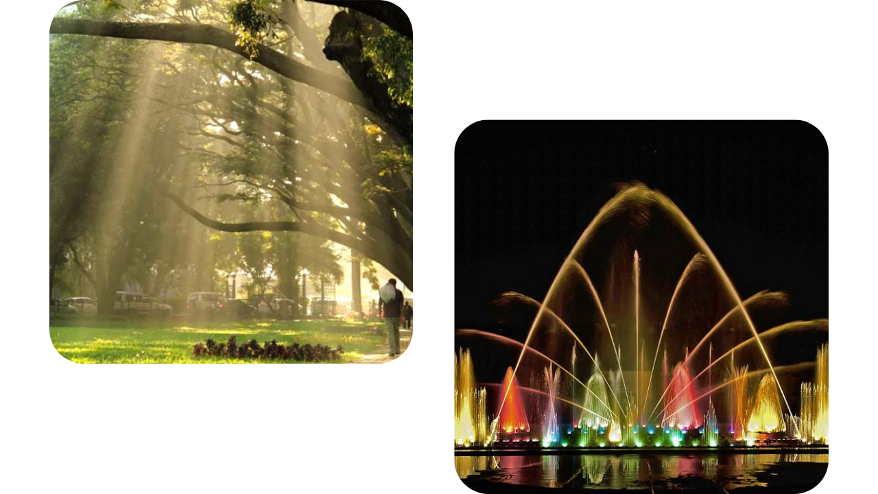 Jayaprakash Narayan Biodiversity Park